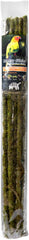 Galápagos Mossy Terrarium Sticks
