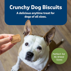 Blue Buffalo Health Bars Natural Crunchy Dog Treats Biscuits, Apple & Yogurt