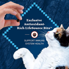 Blue Buffalo Wilderness Adult Indoor Dry Cat Food, Indoor Hairball Control and Weight Control Formula, High-Protein and Grain-Free Diet, Made with Natural Ingredients, Chicken