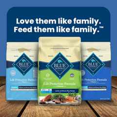 Blue Buffalo Life Protection Formula Adult Small Breed Dry Dog Food, Supports High Energy Needs, Made with Natural Ingredients, Lamb & Brown Rice Recipe