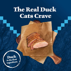 Blue Buffalo Wilderness Duck Supports Health and Wellness High-Protein & Grain-Free Healthy Adult Dry Cat Food