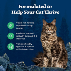 Blue Buffalo Wilderness Duck Supports Health and Wellness High-Protein & Grain-Free Healthy Adult Dry Cat Food
