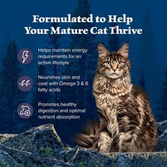 Blue Buffalo Wilderness Natural Mature Dry Cat Food for Cats 7+ Years, High-Protein and Grain-Free Diet, Supports Immune System Health and Energy to Stay Active, Chicken