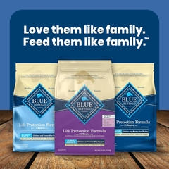 Blue Buffalo Life Protection Formula Toy Breed Adult Dry Dog Food, Supports High Energy Needs, Made with Natural Ingredients, Chicken & Brown Rice Recipe
