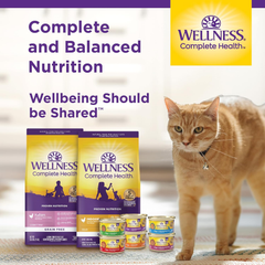 Wellness Complete Health Pate Adult Wet Cat Food, Natural, Protein-Rich, Grain Free(Chicken & Herring)