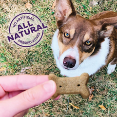Wellness Old Mother Hubbard P-Nuttier Dog Biscuits, Natural, Training Treats, Peanut Butter Flavor