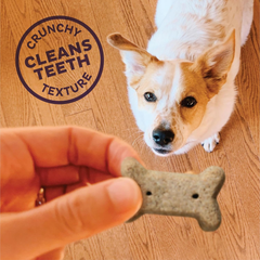 Wellness Old Mother Hubbard P-Nuttier Dog Biscuits, Natural, Training Treats, Peanut Butter Flavor