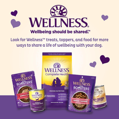 Wellness Old Mother Hubbard P-Nuttier Dog Biscuits, Natural, Training Treats, Peanut Butter Flavor