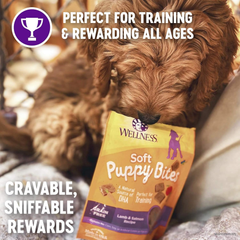 Wellness Puppy Treats, Natural, Training Treat, Grain Free, Soft Lamb & Salmon