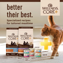 Wellness CORE+ Grain-Free High Protein Adult Dry Cat Food, Chicken, Turkey & Chicken Meal Indoor Formula Dry Cat Food