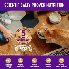 Wellness Complete Health Kitten Dry Cat Food for Indoor and Outdoor Cats, Grain Free, Natural, Chicken & Chicken Meal