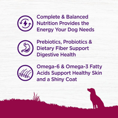 Wellness Complete Health Dry Dog Food, Small Breed, Grain Free, Natural, Turkey, Chicken, & Salmon Recipe