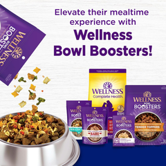 Wellness Complete Health Large Breed Dry Dog Food with Grains, Natural Ingredients, Made in USA with Real Meat (Adult, Chicken & Rice)