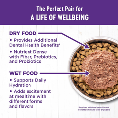 Wellness Complete Health Adult Dry Cat Food for Indoor Cats, Grain Free, Natural, Chicken & Chicken Meal