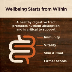 Wellness CORE Digestive Health Lamb Grain Free Wet Dog Food