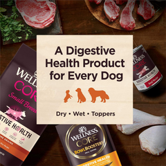 Wellness CORE Digestive Health Dry Dog Food, Small Breed, Wholesome Grains, Natural, Ingredients for Dogs with Sensitive Stomachs, Chicken Recipe