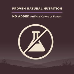 Wellness CORE Grain-Free Senior Dry Dog Food, Made in USA with Natural Ingredients, No Meat by-Product, Fillers, Artificial Flavors, or Preservatives (Turkey)
