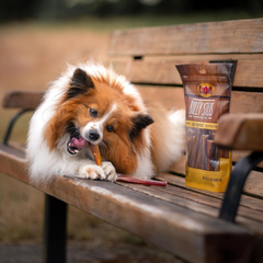 Cadet Bully Sticks for Extra-Small Dogs, All-Natural Beef Pizzle, Rawhide-Free Long-Lasting Dog Chews for Aggressive Chewers