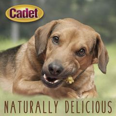 Cadet Gourmet Chicken & Apple Wrapped Dog Treats Wraps - Healthy & Natural Chicken & Apple Dog Training Treats for Small & Large Dogs - Inspected & Tested in USA
