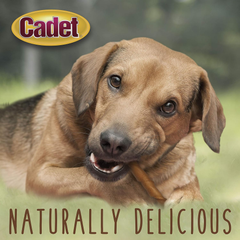 Cadet Gourmet Pork Hide Rolls 10 in.