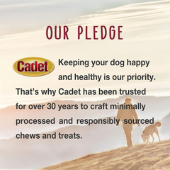 Cadet Gourmet Chicken & Apple Wrapped Dog Treats Wraps - Healthy & Natural Chicken & Apple Dog Training Treats for Small & Large Dogs - Inspected & Tested in USA