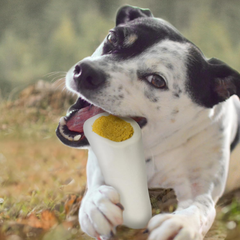 Cadet Stuffed Shin Bone - Highly Digestible, High Protein, Long-Lasting Dog Chew Bone for Aggressive Chewers, Supports Dental Health, - Cheese Flavor