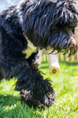Cadet Stuffed Shin Bone - Highly Digestible, High Protein, Long-Lasting Dog Chew Bone for Aggressive Chewers, Supports Dental Health, - Bully Stick Flavor
