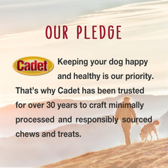 Cadet Bully Hide Sticks for Small Dogs, All-Natural Beef Pizzle, Limited-Ingredient Long-Lasting Dog Chews for Aggressive Chewers