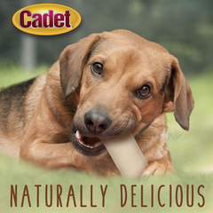 Cadet Premium Grade Beef Hide for Dogs, Rawhide Long Lasting Curls Dog Chews for Small/Medium/Large Dogs