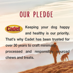 Cadet Premium Grade Beef Hide for Dogs, Rawhide Long Lasting Curls Dog Chews for Small/Medium/Large Dogs