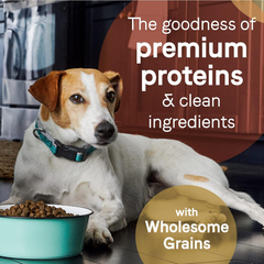 CANIDAE Pure Dry Puppy Food with Wholesome Grains, Real Salmon & Oatmeal