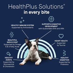 CANIDAE Pure Dry Puppy Food with Wholesome Grains, Real Salmon & Oatmeal