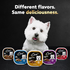 CESAR Adult Soft Wet Dog Food Classic Loaf in Sauce, Grilled Chicken Flavor