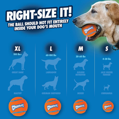 Chuckit! Dog Tennis Ball Dog Toy