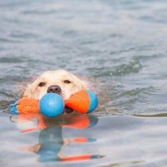 Chuckit! Amphibious Tri-Bumper Fetch Dog Toy, Black