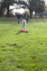 ChuckIt! Tumble Bumper Dog Toy