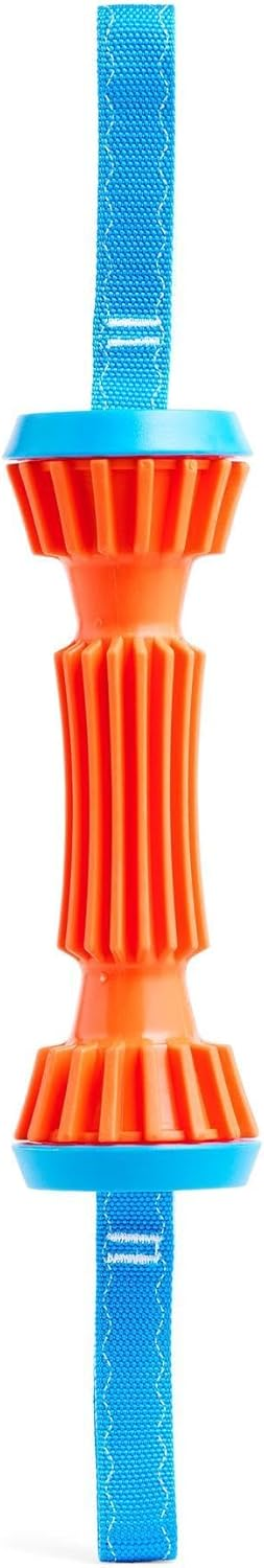 ChuckIt! Rugged Bumper Dog Toy