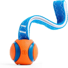 Chuckit! Ultra Tug Dog Toy, Fetch and Dog Ball Tug Toy for Dogs 0-20 Pounds