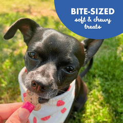 Cloud Star Wag More Bark Less Chicken & Sweet Potato Recipe Grain-Free Jerky Dog Treats