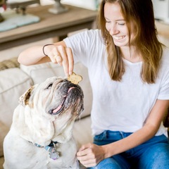 Cloud Star Wag More Bark Less Crunchy Grain Free Dog Treats, Pumpkin