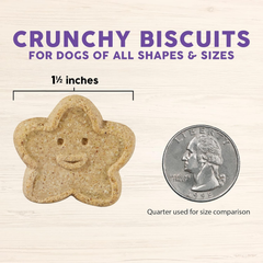 Cloud Star Wag More Bark Less Crunchy Grain Free Dog Treats, Assorted Flavors