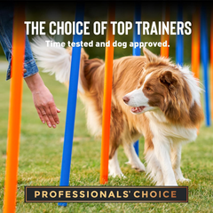 Cloud Star Tricky Trainers Soft & Chewy Dog Training Treats, Liver Flavor, Grain-Free Low Calorie Behavior Aid with 310 treats