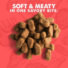 Cloud Star Wag More Bark Less Meat Cravers Soft Chews Dog Treats, Beef
