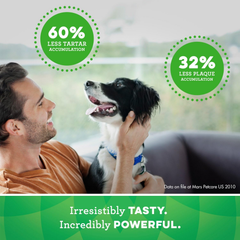 Greenies Original Regular Natural Dental Care Dog Treats