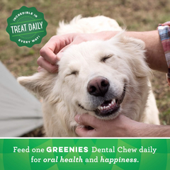 Greenies Original Regular Natural Dental Care Dog Treats
