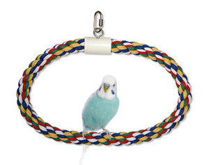 JW Pet Swing N' Perch