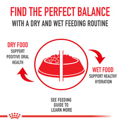 Royal Canin® Feline Care Nutrition™ Hairball Care Thin Slices In Gravy Canned Cat Food, 3 oz