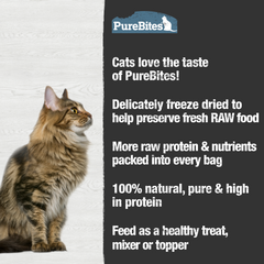 Freeze Dried Cat Treats, Chicken & Lamb Liver, 28g | 0.99oz, Value size