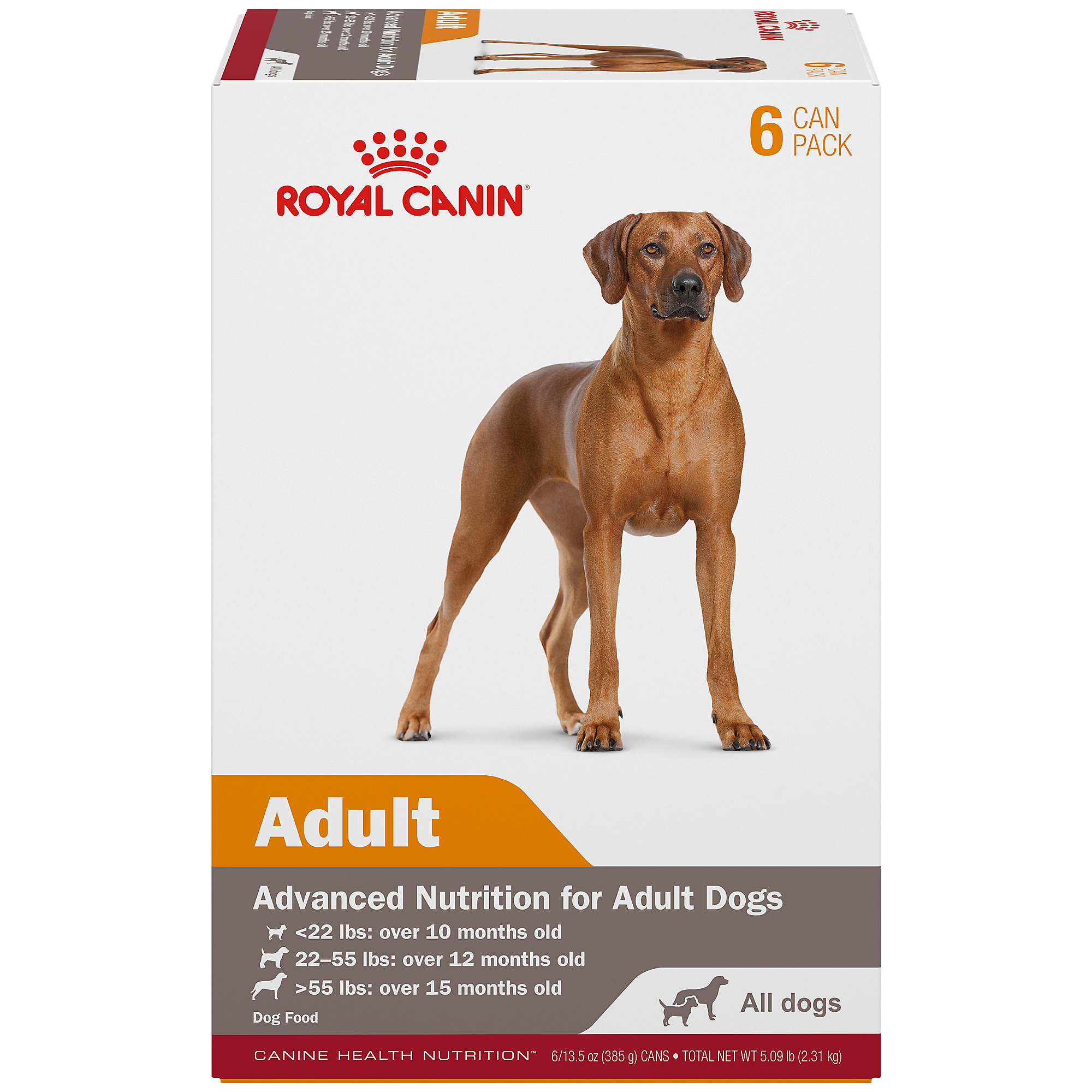 Royal Canin® Canine Health Nutrition™ Adult In Gel Canned Dog Food, 13.5 oz (6-Pack)