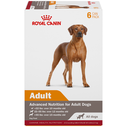 Royal Canin® Canine Health Nutrition™ Adult In Gel Canned Dog Food, 13.5 oz (6-Pack)